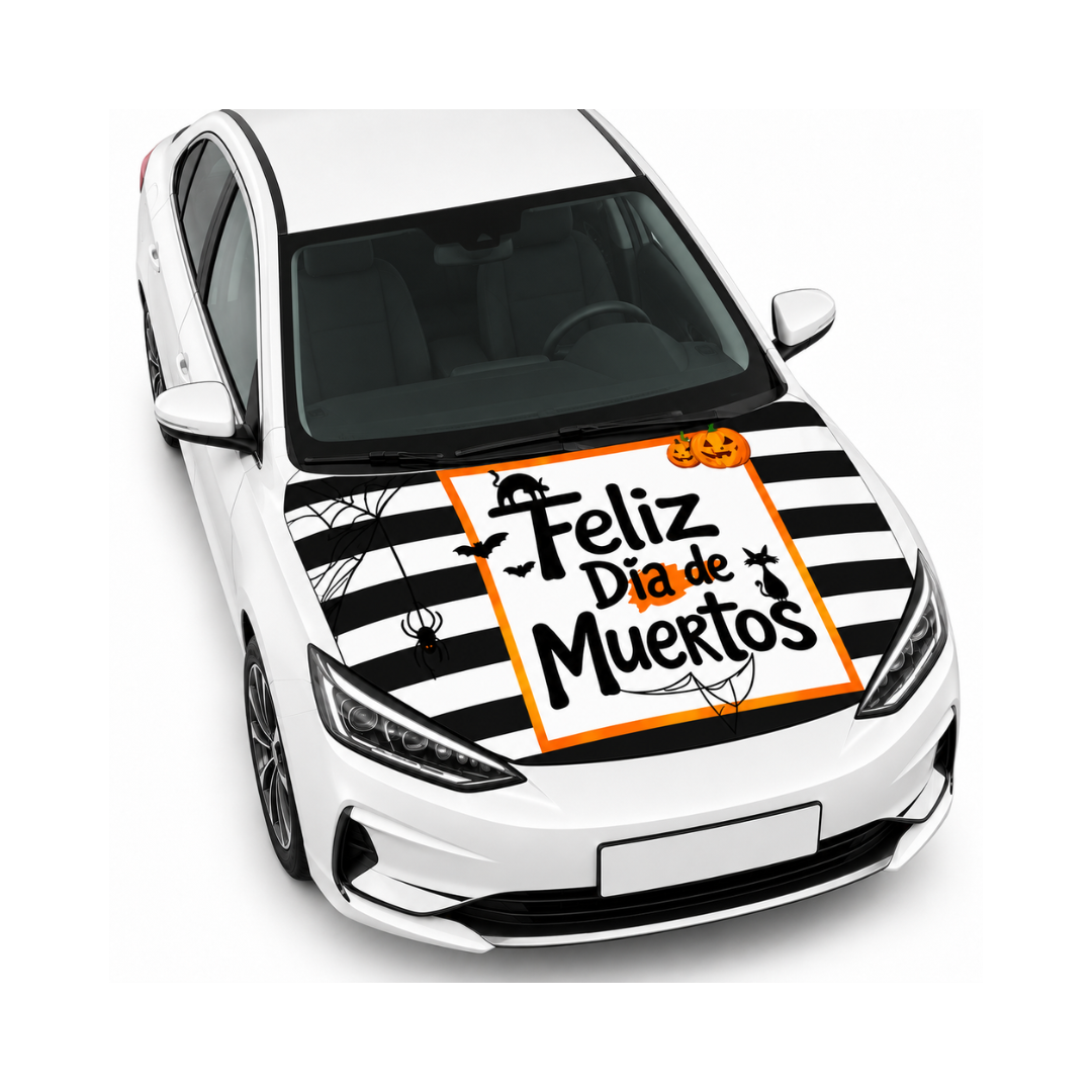 Funda Cubre cofre Rayas Fiesta