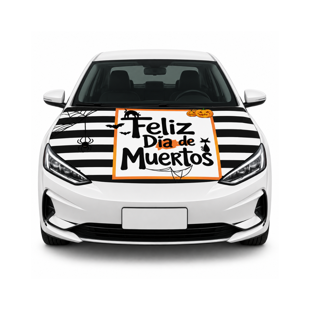 Funda Cubre cofre Rayas Fiesta